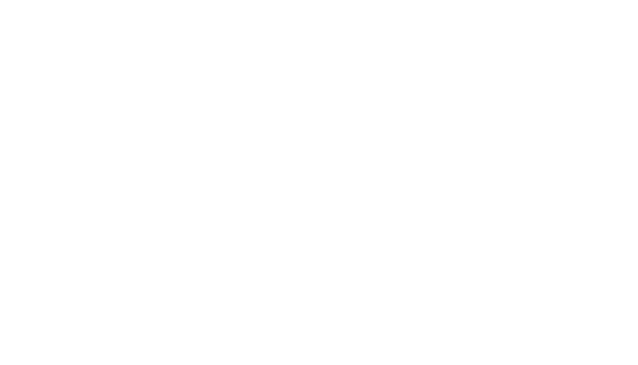 Diamond Travel Logo
